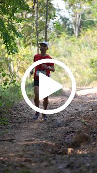 BIB:  <button type="button" onclick="openModal(27612193)" class="btn btn-primary btn-sm float-right" data-toggle="modal" data-target=".modal-high-quality">
                <i class="fa fa-download"></i> Download
                </button>